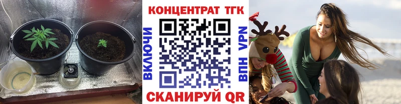 ТГК Wax Кораблино