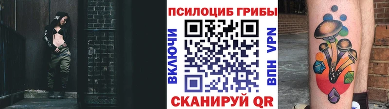 hydra ТОР  Кораблино  Псилоцибиновые грибы прущие грибы  наркошоп 
